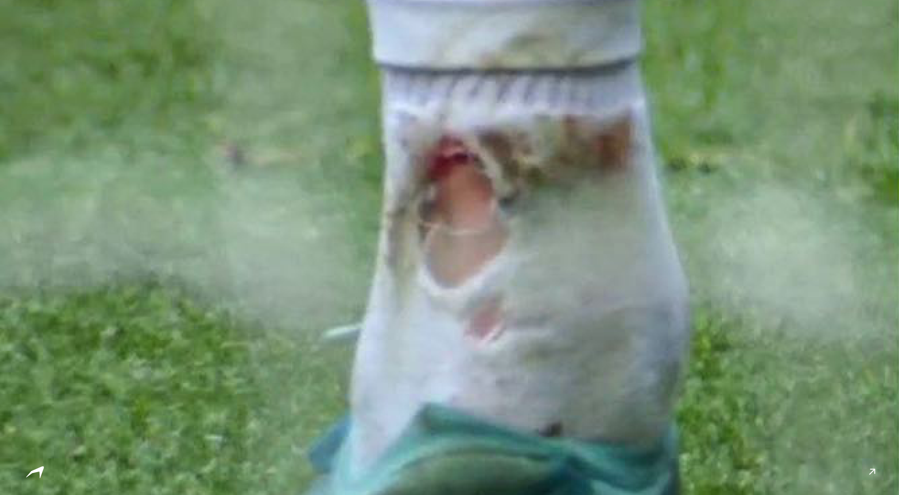 What Pros Hate About Their Football Socks